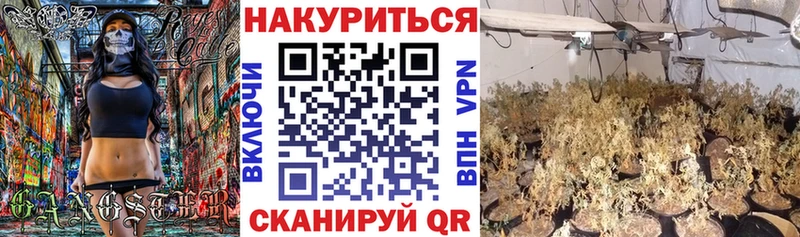 Шишки марихуана планчик Купить Шагонар